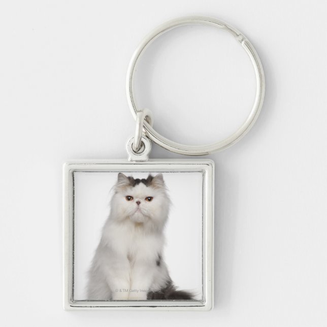 Persian (10 months old) sitting key ring (Front)
