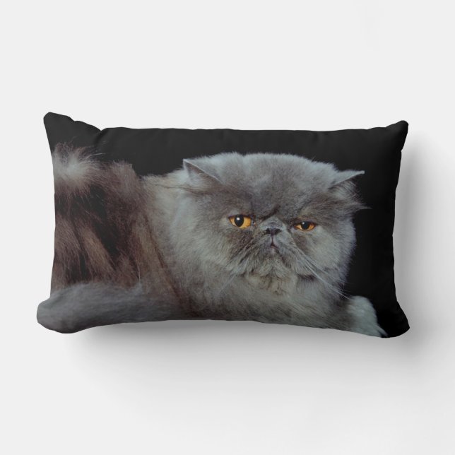 Persian Blue Lumbar Cushion (Front)