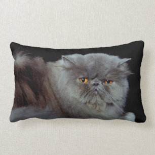 Persian Blue Lumbar Cushion