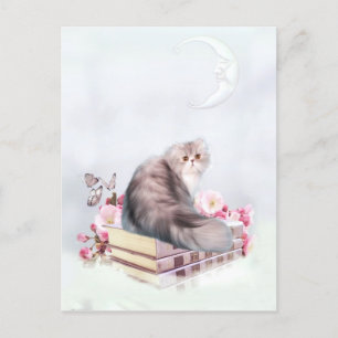 Persian cat and books postcard