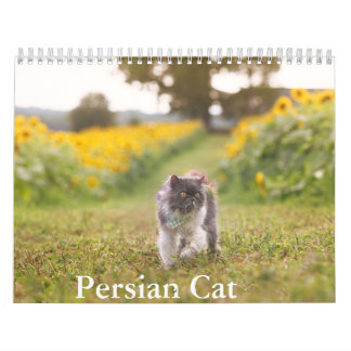 Persian Cat Calendar