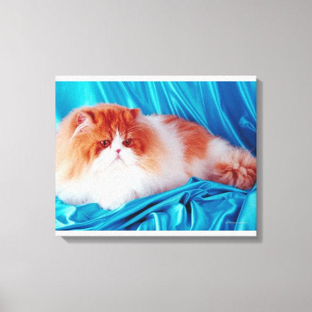 Persian cat canvas print (Front)