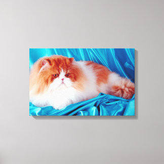 Persian cat canvas print