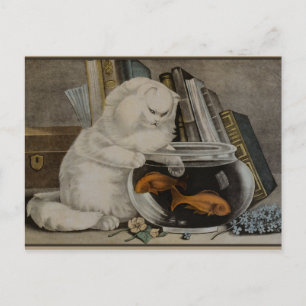 Persian Cat Fishing Postcard