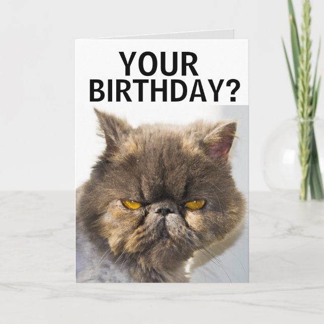 PERSIAN CAT FUNNY BIRTHDAY CARD (Front)
