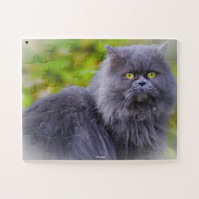 Persian Cat Jigsaw Puzzle (Horizontal)