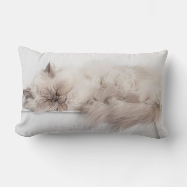 Persian Cat Lumbar Cushion (Front)