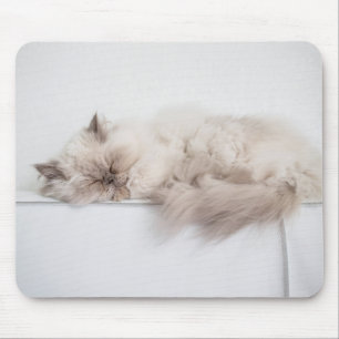 Persian Cat Mouse Pad
