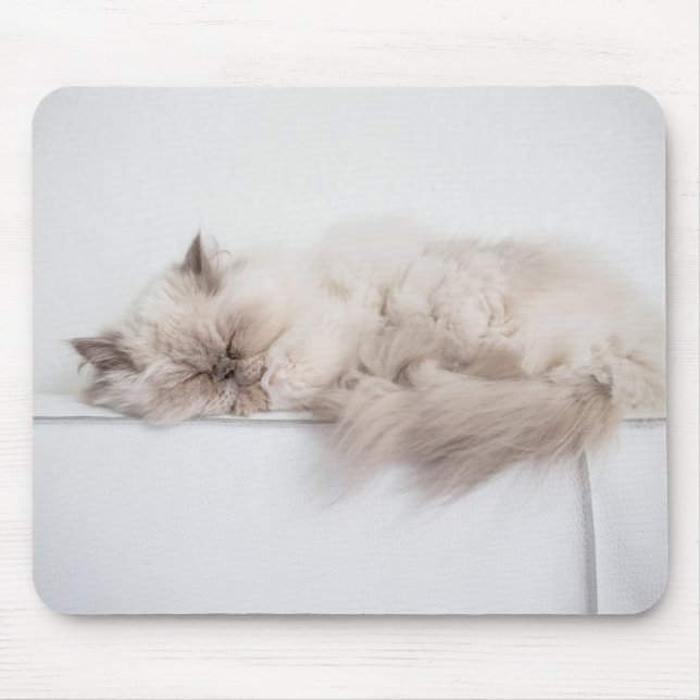 Persian Cat Mouse Pad (Front)