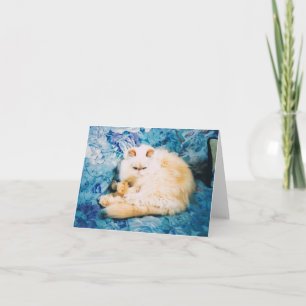 Persian Cat Note Card