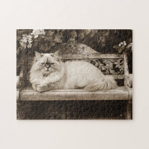 Persian Cat on a Garden Bench Jigsaw Puzzle