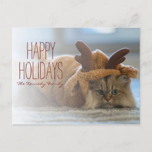 Persian cat on carpet in reindeer costume holiday postcard