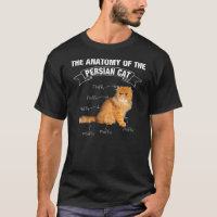 Persian Cat Persian Cats Anatomy