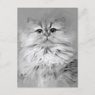 Persian Cat Postcard No.25
