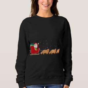 Persian Cat Santa Christmas Sleigh - Funny Persian Sweatshirt
