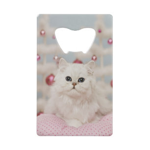 Persian cat sitting on pink pillow