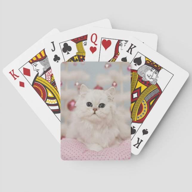 Persian cat sitting on pink pillow playing cards (Back)