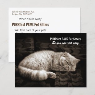 Persian Cat Sleeping in Sepia Tones Pet Sitter's P Postcard