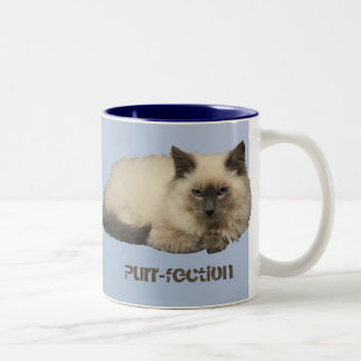 Persian Cat Two-Tone Coffee Mug