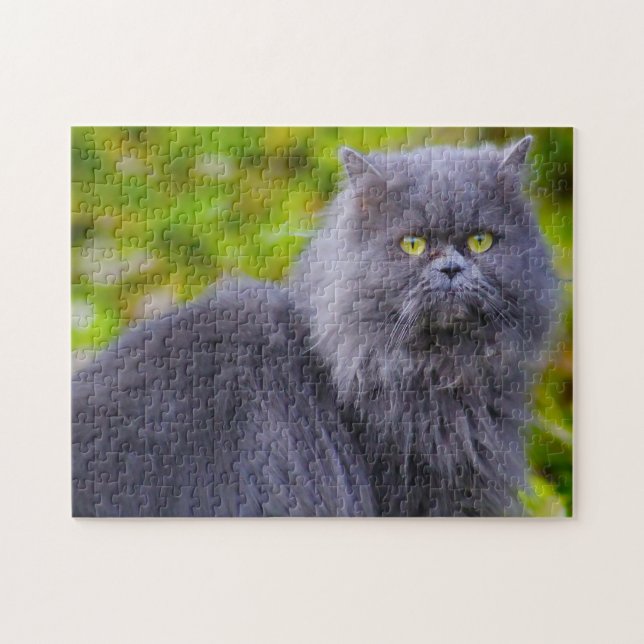 Persian Cats. Jigsaw Puzzle (Horizontal)