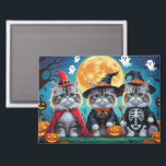 Persian Cats Pumpkin Halloween Funny Magnet<br><div class="desc">A playful Halloween scene featuring a mischievous little kitten peeking out of a carved pumpkin,  surrounded by spooky-fun fall vibes. With cheeky charm and autumn colours,  it’s the perfect touch of humour for the season.</div>