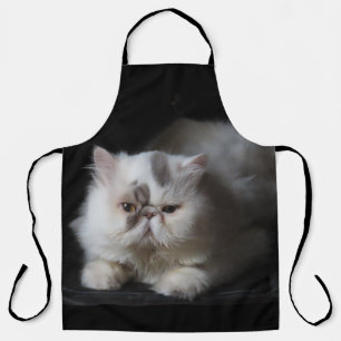persian, cute, cat, animal, isolated, pet, kitten, apron
