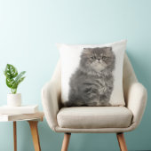 Persian Kitten (2 months old) sitting Cushion (Chair)