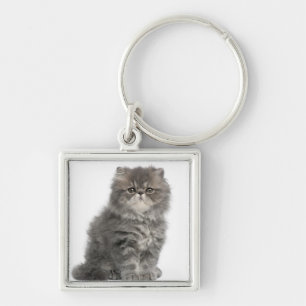 Persian Kitten (2 months old) sitting Key Ring