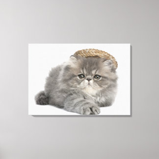 Persian Kitten (2 months old) wearing a straw Canvas Print
