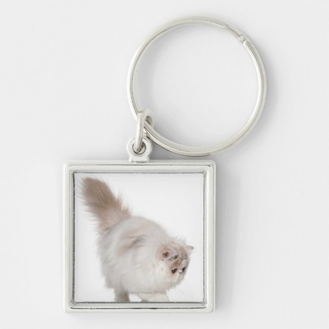 Persian kitten (3 months old) key ring (Front)