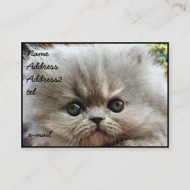 Persian kitten business card Large (Front)