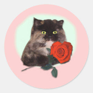 Persian Kitty with Rose Gifts and Apparel Classic Round Sticker