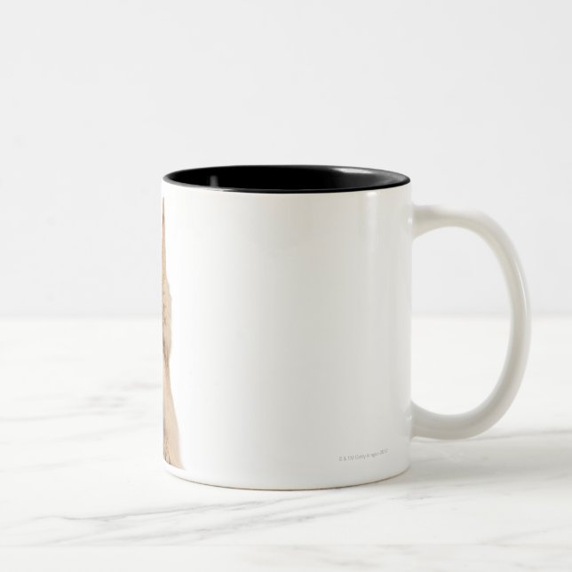 Persian playing (3 years old) Two-Tone coffee mug (Right)