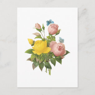 Persian yellow rose, tea rose by Redouté Postcard