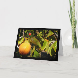 Persimmon Fruit in Tree Card