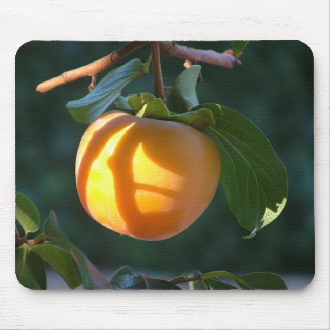 persimmon fruit mouse pad (Front)