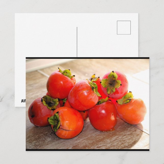 Persimmon Fruit Postcard (Front/Back)