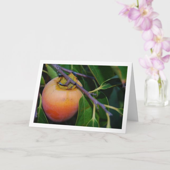Persimmon in Tree Portrait Card (Orchid)