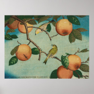 Persimmons and White-Eyes 1880 Japanese Print