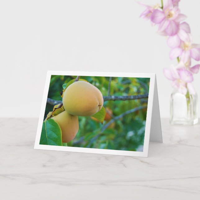 Persimmons in Tree Portrait Card (Orchid)
