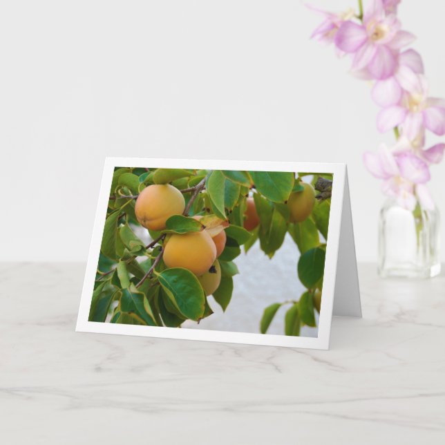 Persimmons in Tree Portrait Card (Orchid)