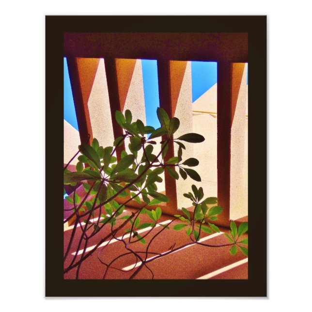 Persistent Plant Photo Print (Front)