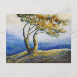 Persistent postcard