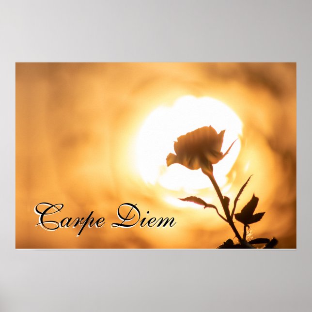 Personal Carpe Diem shiny rose blossom in sunset Poster (Front)