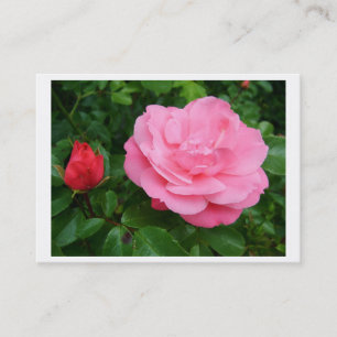 Personal profile card, pink rose business card