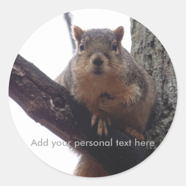 Personal squirrel sticker (Front)
