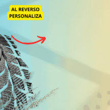 Personalice Facil Paris Roubaix Bikes