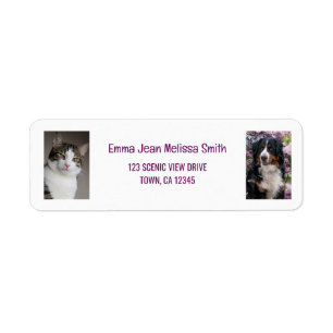 Personalise 2 Photos Cat Dog Modern Return Address
