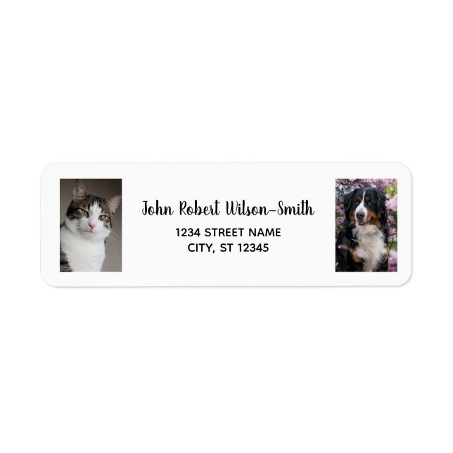 Personalise 2 Photos Cat Dog Modern Return Address (Front)