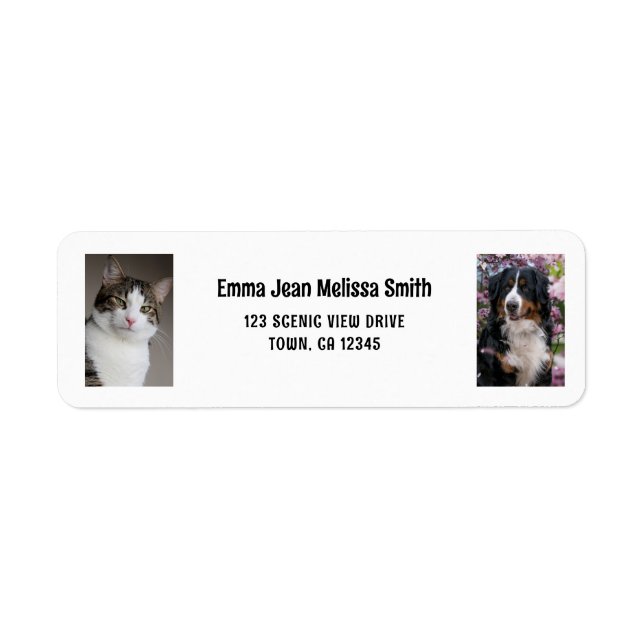 Personalise 2 Photos Cat Dog Modern Return Address (Front)